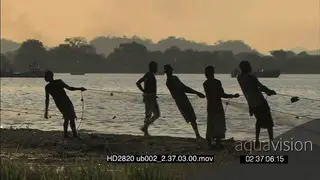 Local young men pulling out fishing nets from river