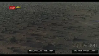 Aerial Drone Wildebeest herd general behaviour running over bushveld in the distance