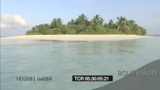 Scenic of Maldives island water in FG