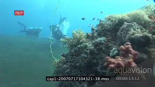 View of an aquarium in ocean and divers swimming and searching SCENIC TRAVELING SHOT WS.