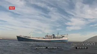 Fishing boat trawler AmCam