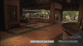 Young African elephant walking through Mfuwe lodge reception area followed by adult and.
