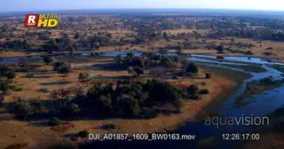 Drone Aerials over the Okavango Delta, river and beautiful green trees detail. Midday.