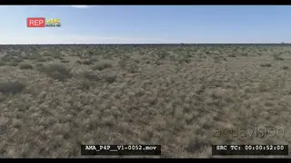 Aerial Drone over bushveld grass
