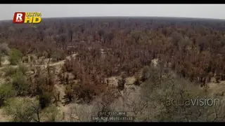 Morning, drone Aerial of the DRY Northern Botswana - Okavango Delta during September.