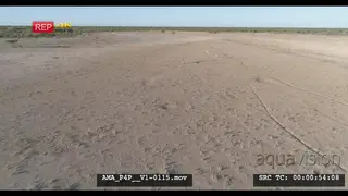 Aerial Drone shot springboks running over veld