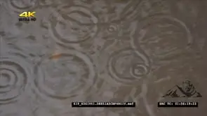 Rain splashing into water