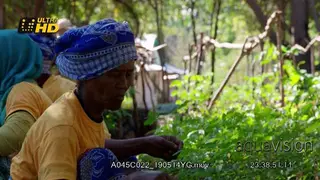 Malagasy women sort and allocate the seeds ensure good mix of species are being planted.