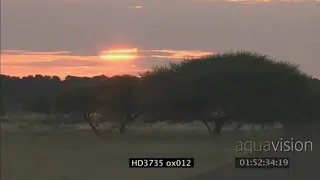 Time-lapse sunset LS
