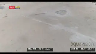 Aerial Drone Wildebeests and Sprinboks walking in the distant Kalahari desert salt-pan