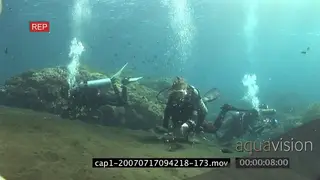 Divers swimming and searching in an aquarium in ocean MWS HAND