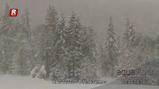 Scenic shot, Blizzard Snow falling in forest.