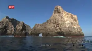 Various scenic shots fo island cliffs, waves breaking against cliff walls LS: WS