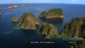 Aerial pan shot over the sea with green lush island in the misool area