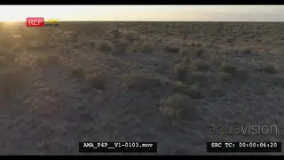 Aerial Drone shot over bushveld African lions resting near bush