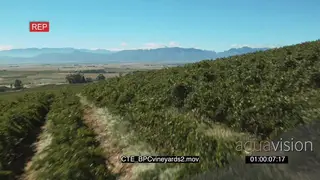 Aerials over Cape vineyards