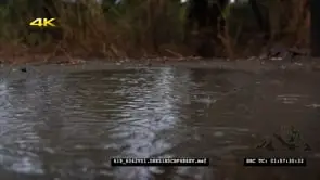 Rain splashing into water