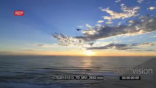 Scenic sunrise over ocean birds flying around in frame
