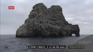 Scenic shots of islands and cliffs, sea birds flying across