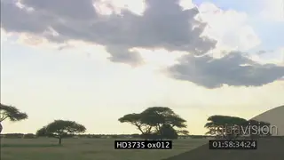 Scenic Time-lapse shots of kalahari grassland clouds, sunset XLS