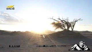 Scenic sunrise at Namibian desert DRY MWS