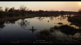 Drone Aerials of dry Northern Botswana during September, sunset.