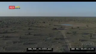 Aerial Drone Wildebeest herd standing together in the distance