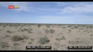Aerial Drone over bushveld