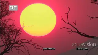 African Red Sunset Sky over bushveld