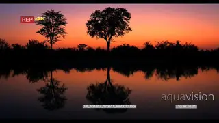 Stunning sunset shot across a river with the reflections of the silhouette trees and…