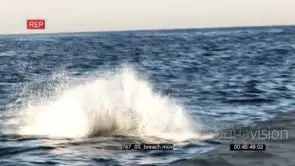 Great White Shark jumping out of ocean fishing Breach LS HAND