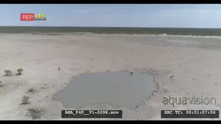 Aerial Drone Wildebeests Gemsbok at waterhole