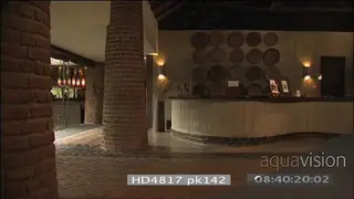 African elephant herd walking through Mfuwe lodge reception area at night