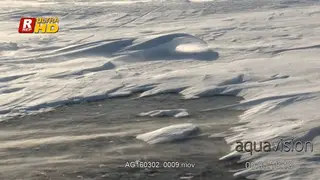 Arctic Blizzard blowing wind, creating arctic waves.