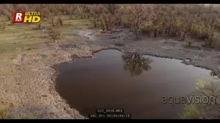 Drone Aerial of the DRY Northern Botswana - Okavango Delta, Waterhole during September.