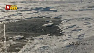 Snow blizzard in the arctic, wind blowing.