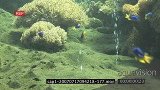 View of an aquarium in ocean SCENIC HAND