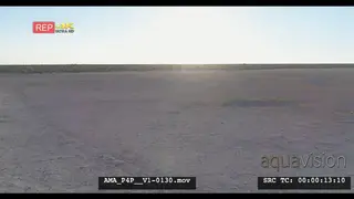 Aerial Drone Wildebeest in the distance running across open veld