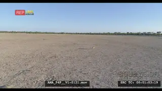 Aerial Drone shot Black-backed jackal running over open veld