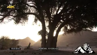Scenic time lapse at Namibian desert SEMI DRY MWS