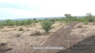 Aerial over Mashatu bushveld