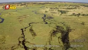 AERIAL view, flood arrival of Okavango delta during a sunny day.