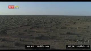 Aerial Drone Wildebeest herd running over bushveld in the distance