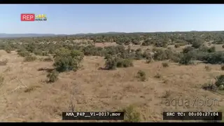 Aerial Drone pull back over bushveld