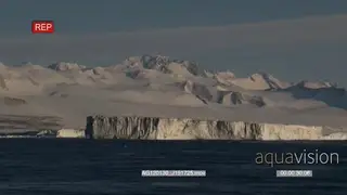 Wide Panning Shot of Ice floes, sunrise.