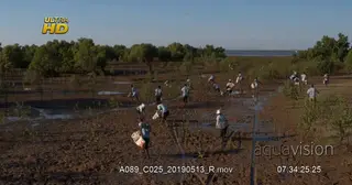 Aerial View of the Eden Reforestation Project partakers walking on a mud bank planting.