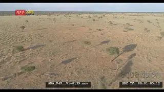 Aerial Drone over Savannah grassland