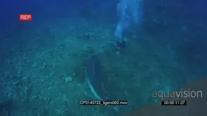 Diver filming a Tiger Shark swimming around him underwater in ocean deep HA WS HAND