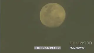 Moonrise