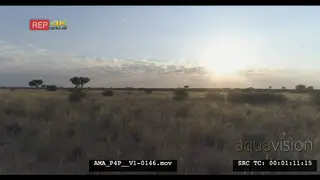 Low Aerial Drone of Savannah grassland